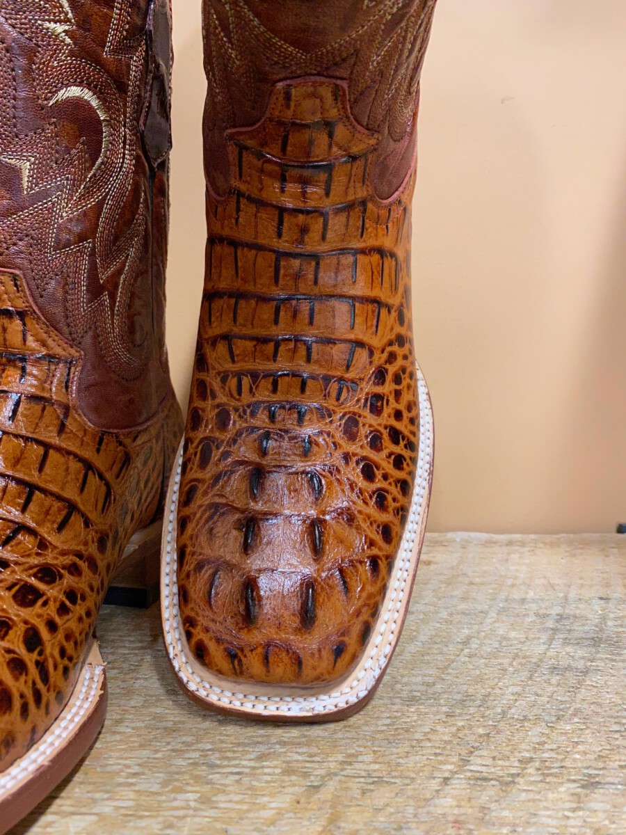 Tanner Mark Boots – Men’s Caiman Hornback Print Boot ( Cognac) – El ...